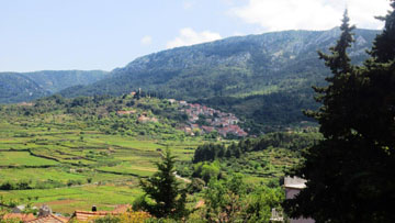 Vrisnik