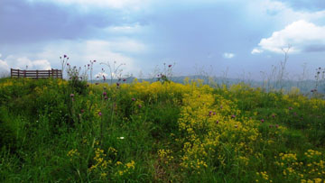 Sečinski vrh, Sokolovac