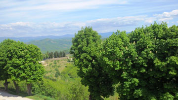 Motovun