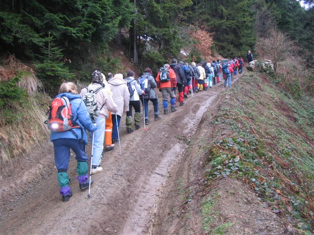 Kolona