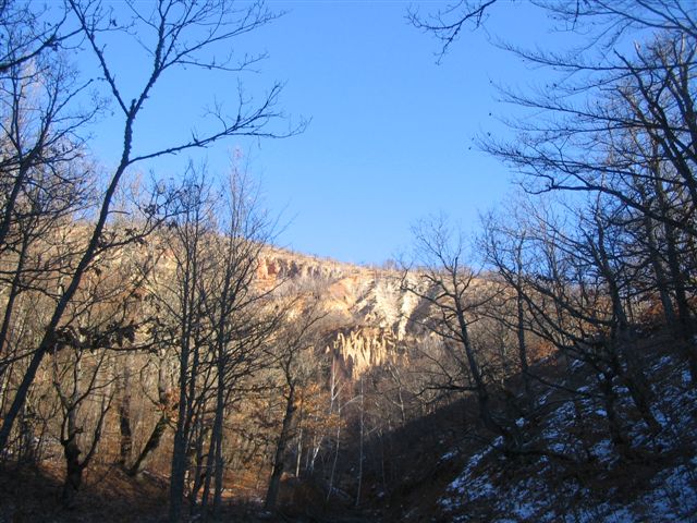 Žuti izvor
