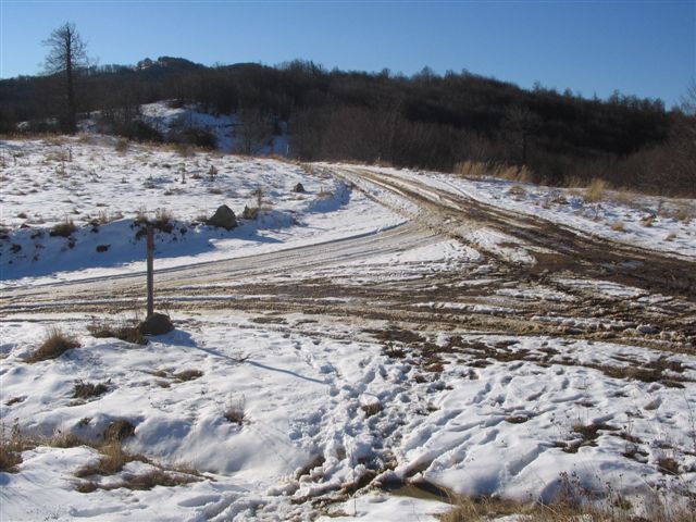 Gajtanska vrata
