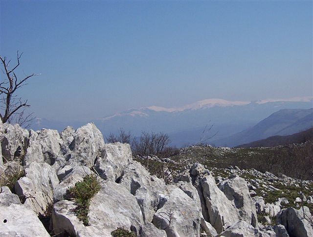 uvecajte